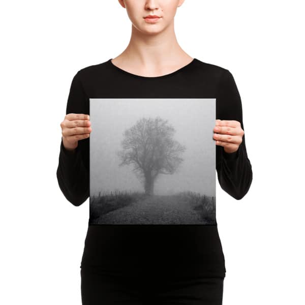Tree in the mist on Canvas - Image 2