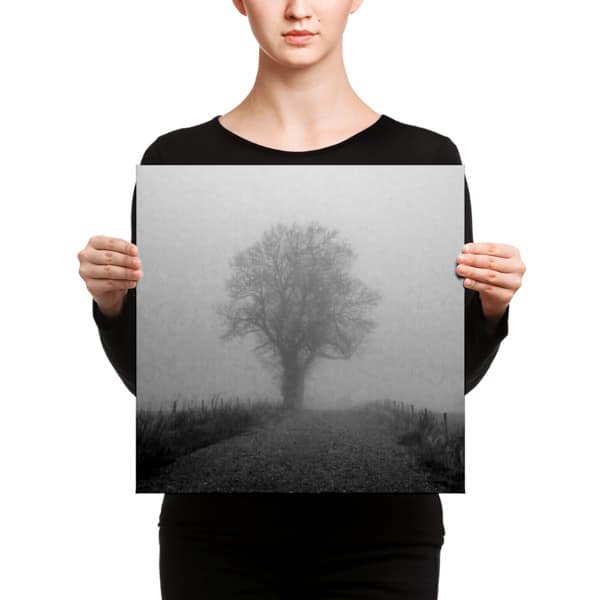 Tree in the mist on Canvas - Image 3