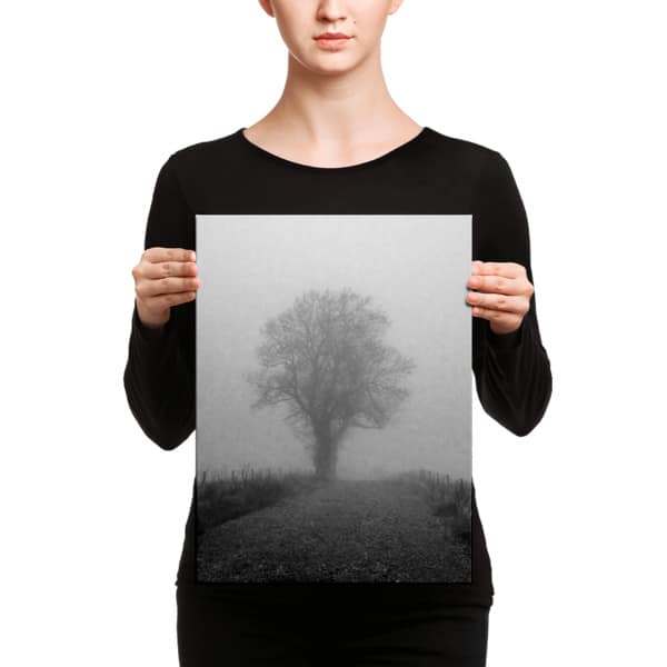 Tree in the mist on Canvas